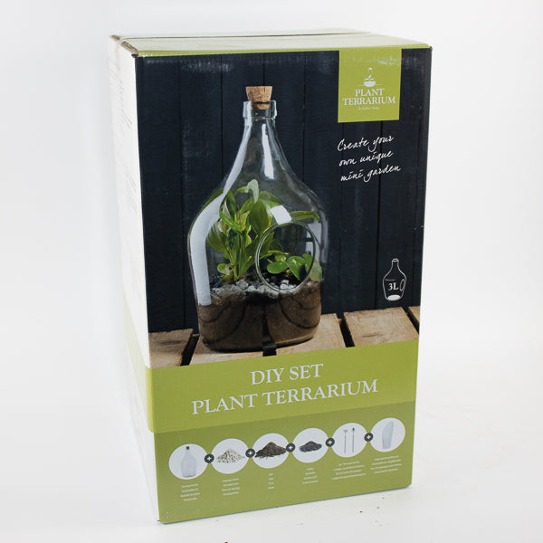 Terrariums and Accessories