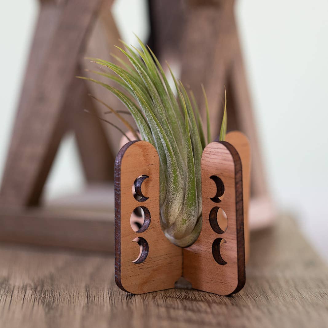 Moon Phase Air Plant Stand