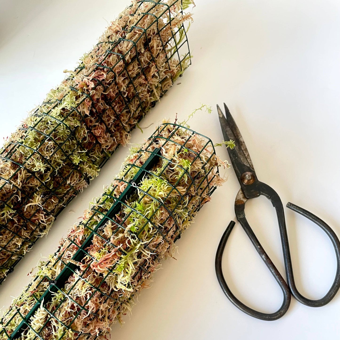 D Shaped Sphagnum Moss Pole