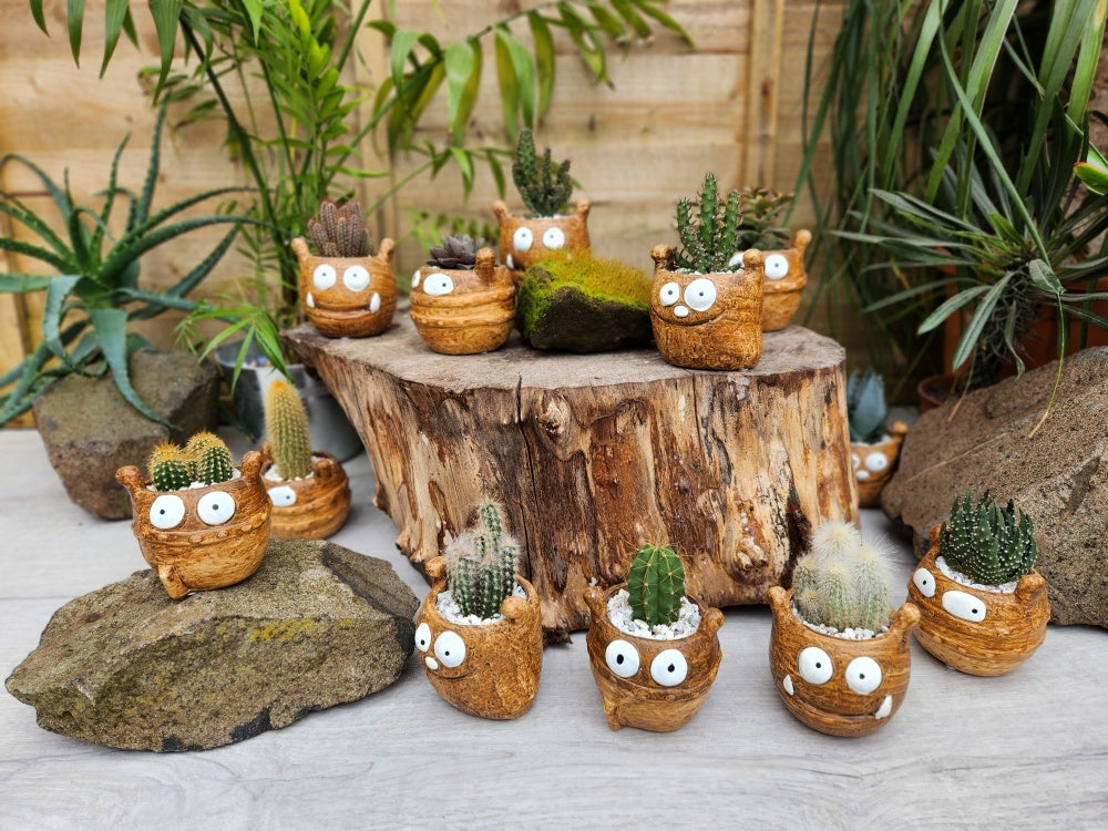 Little Monster Pot with Cacti Ø5.5cm