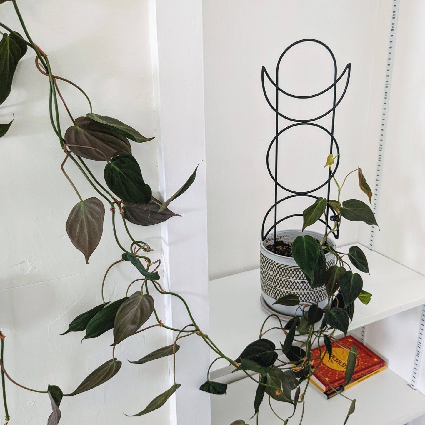 Metal Moon Phase Trellis