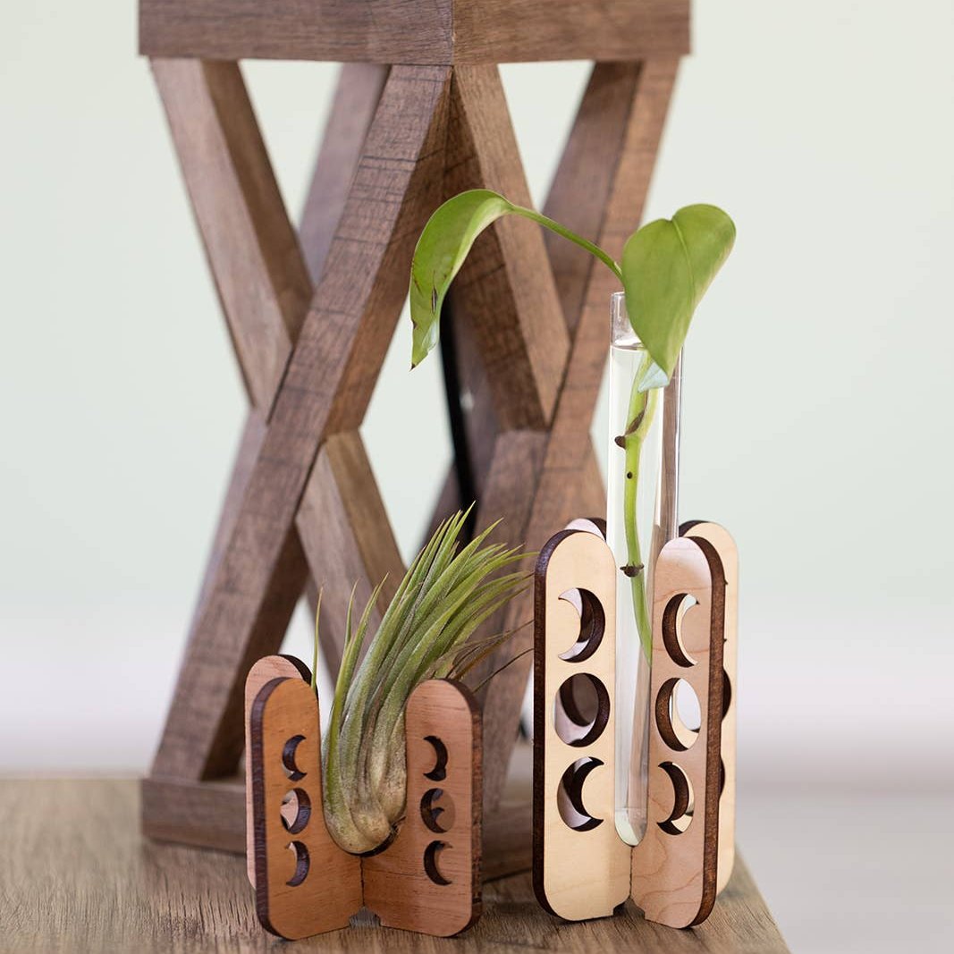 Moon Phase Air Plant Stand