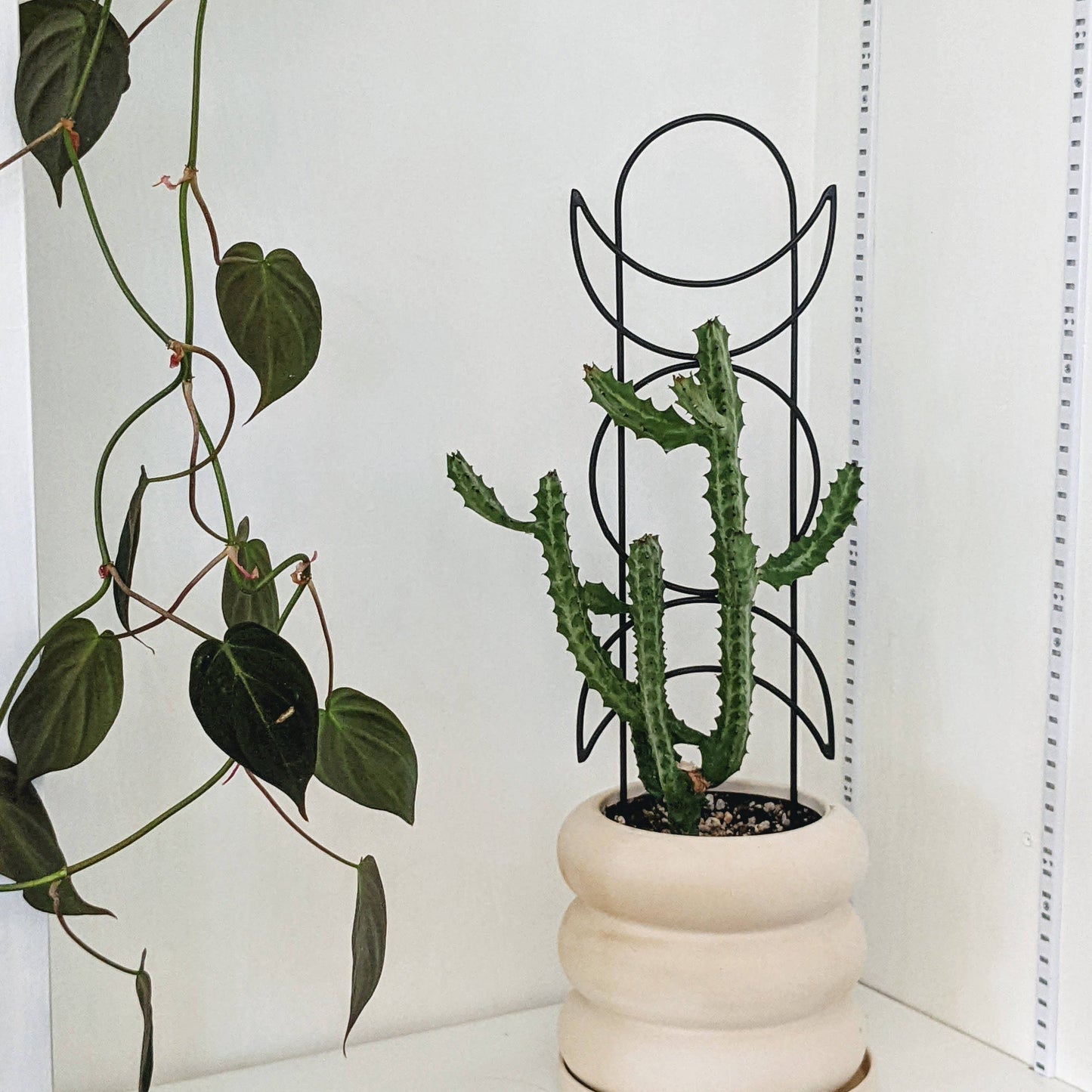 Metal Moon Phase Trellis
