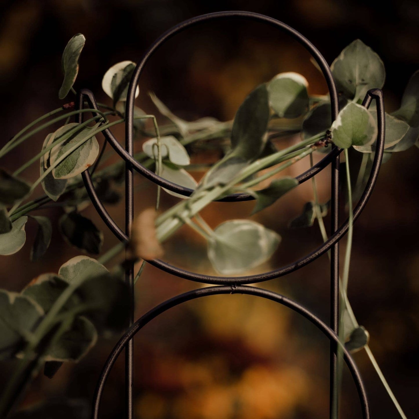 Metal Moon Phase Trellis
