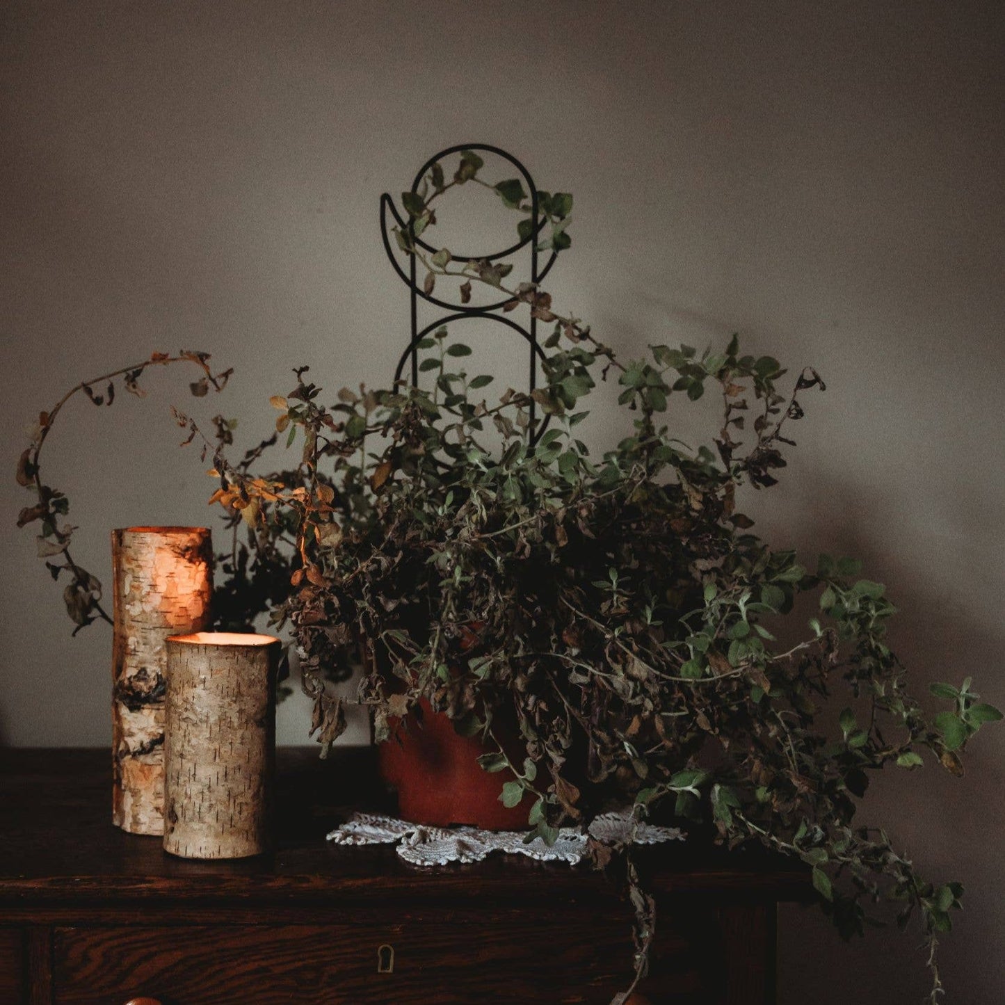 Metal Moon Phase Trellis