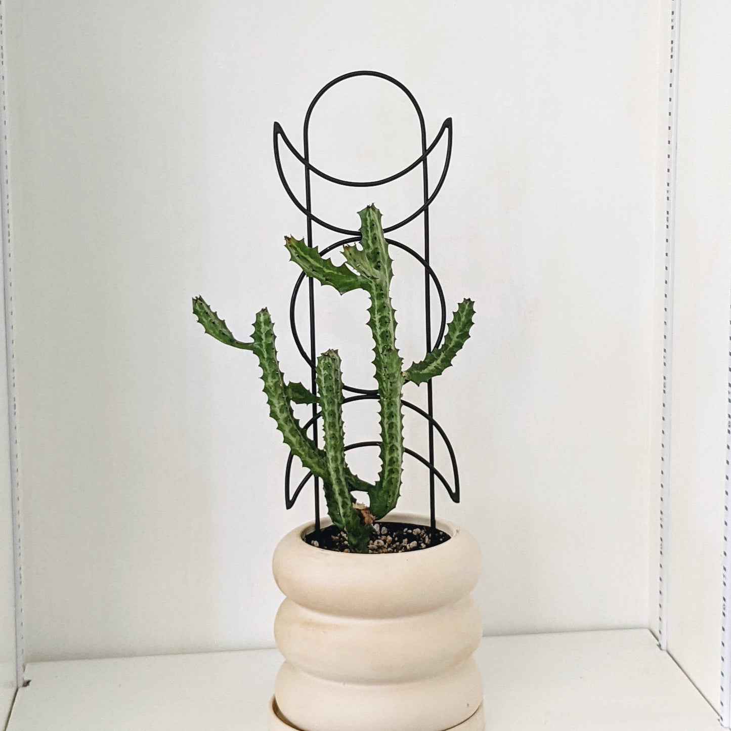 Metal Moon Phase Trellis