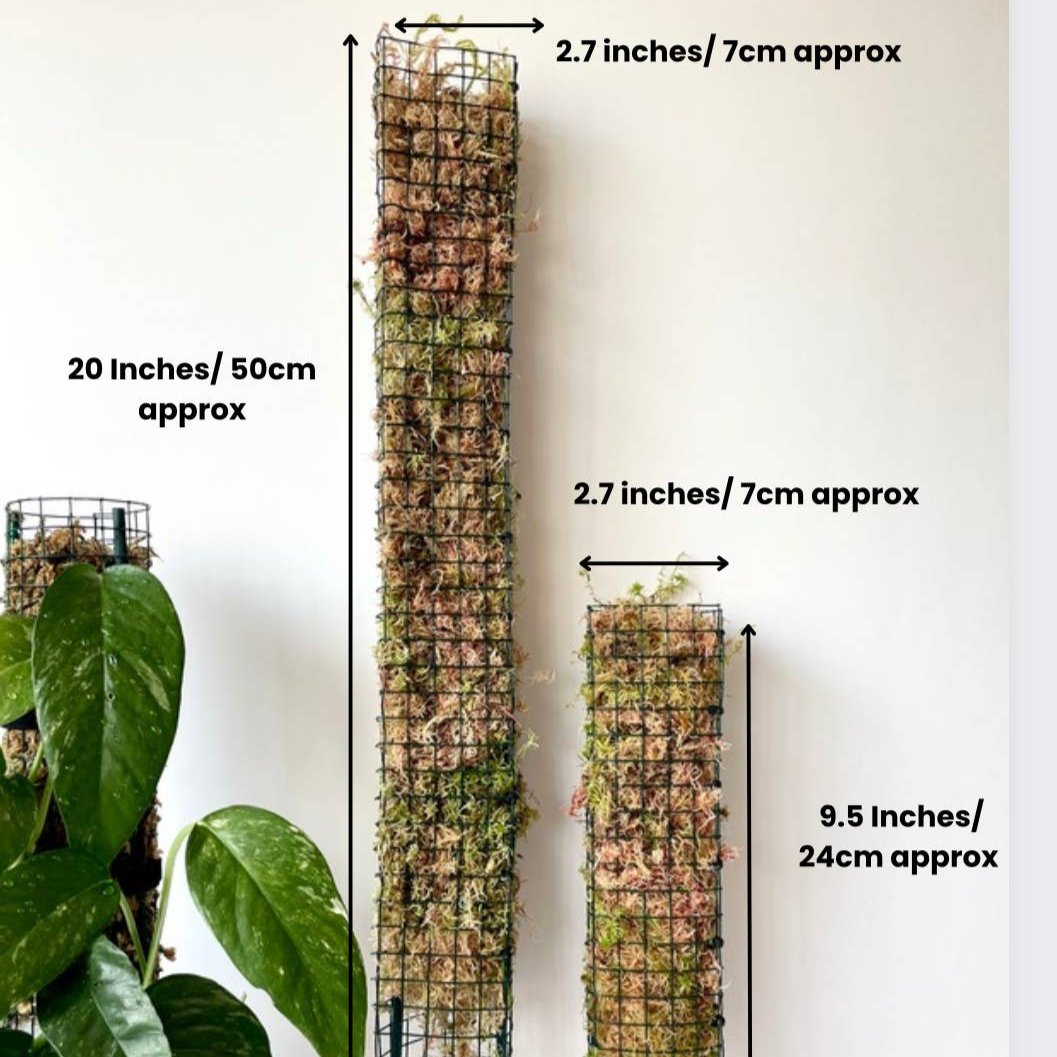D Shaped Sphagnum Moss Pole