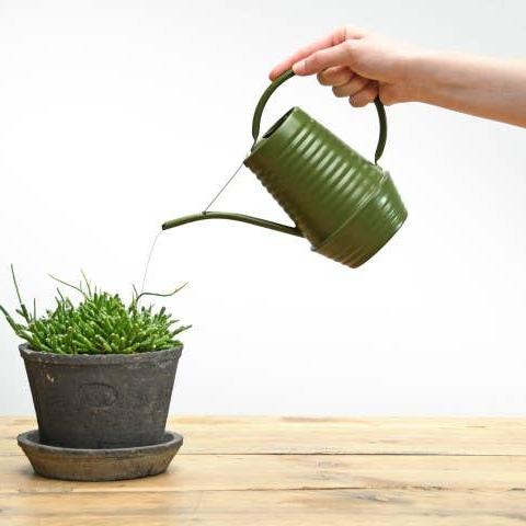 Green Indoor Watering Can