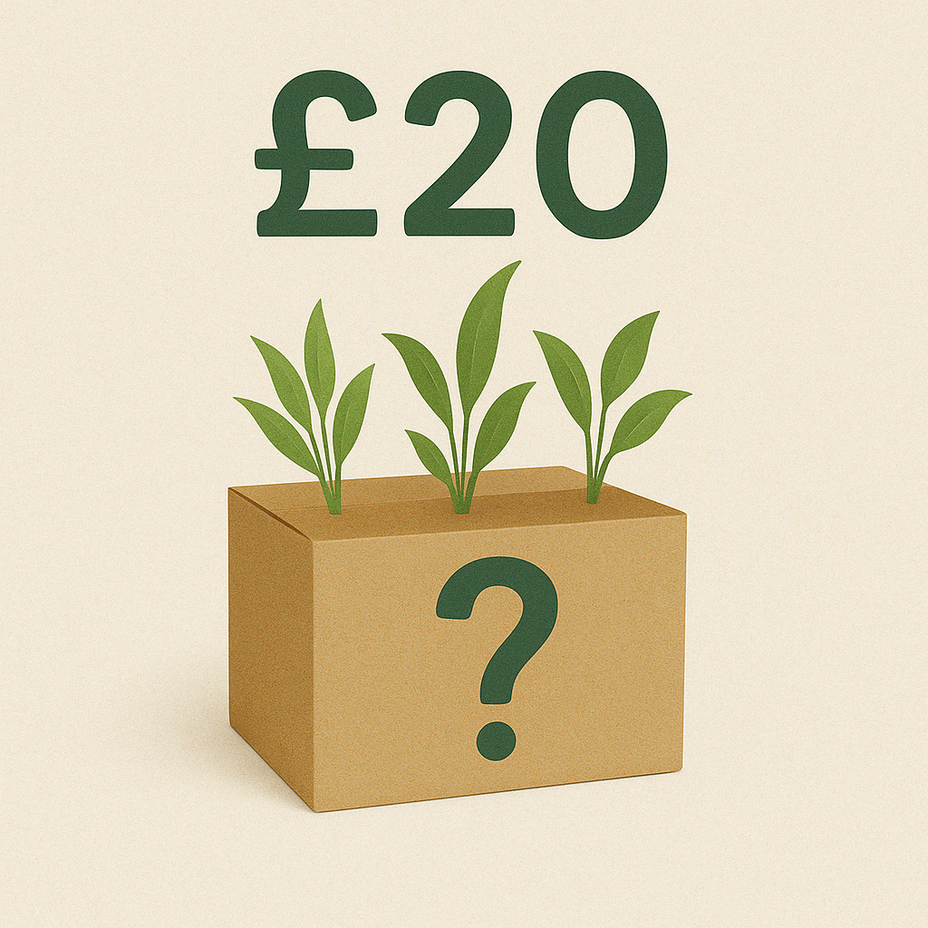 Mystery Plant Box