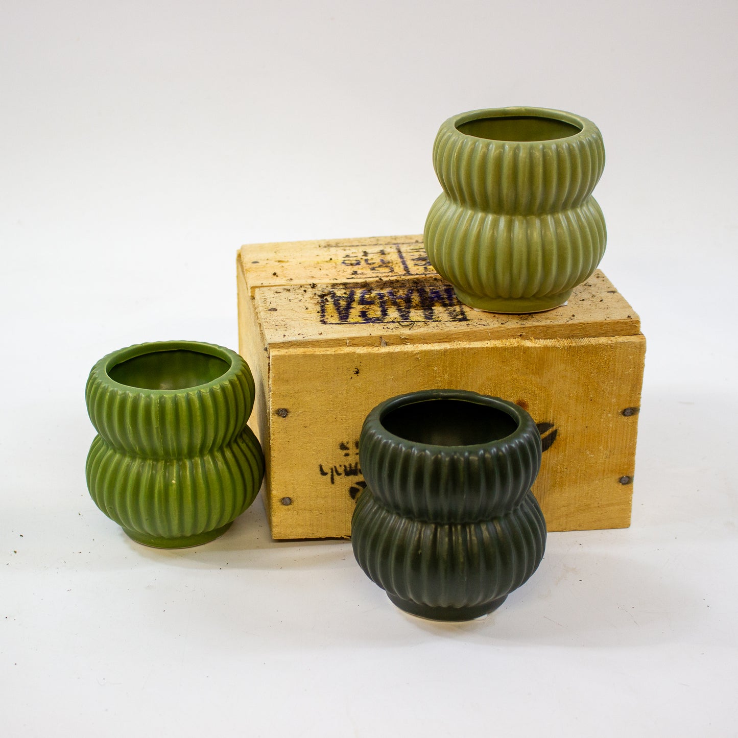 Pure Paradise pot Ø8cm H9cm