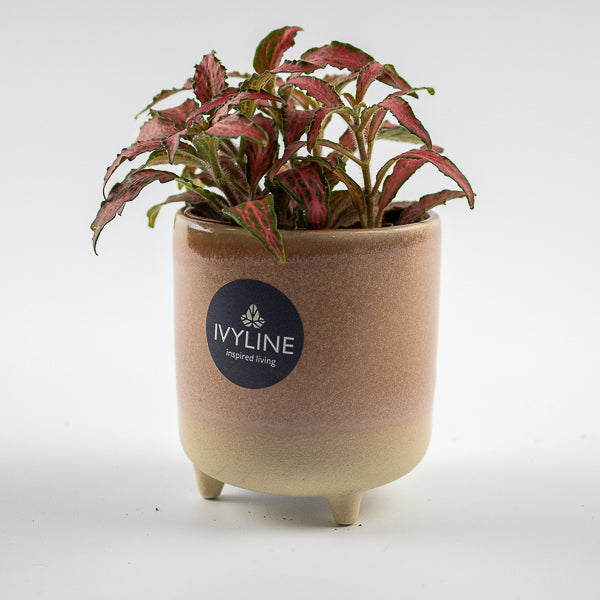 Jolie Rose Matte Reactive 3 Leg Cacti Planter H8.5cm D8cm