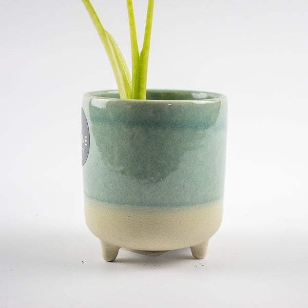 Jolie Aqua Matte Reactive 3 Leg Cacti Planter H8.5cm D8cm