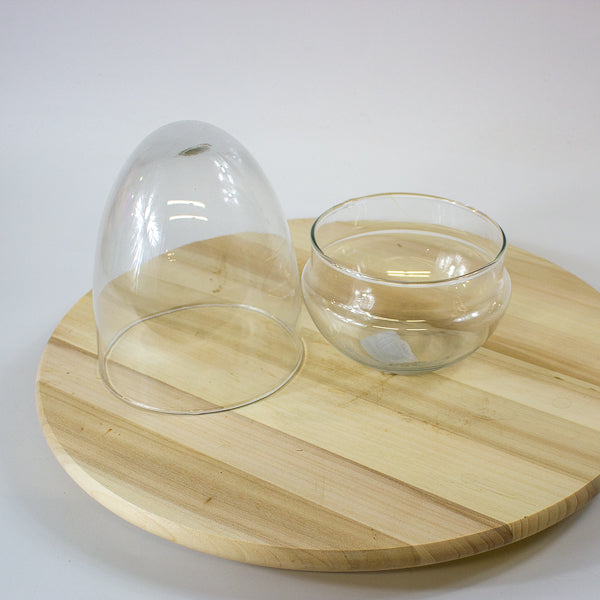 Glass Egg Terrarium Kit