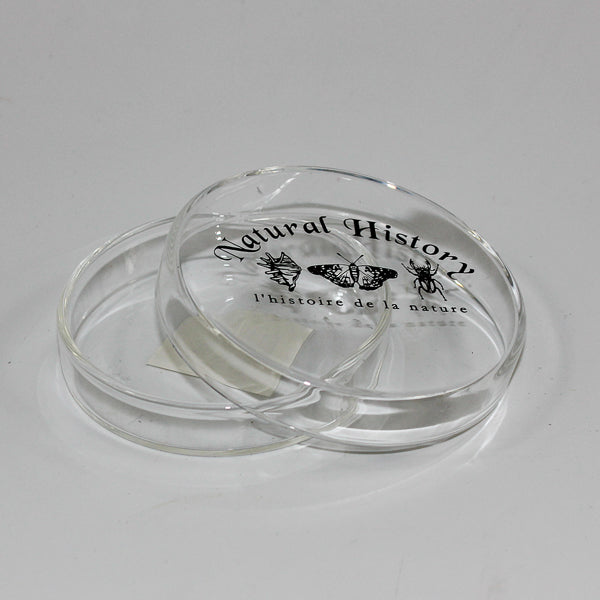 Petri Dish Small (50Ml)