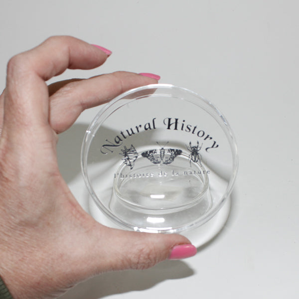 Petri Dish Small (50Ml)