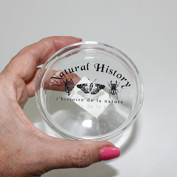 Petri Dish Small (50Ml)