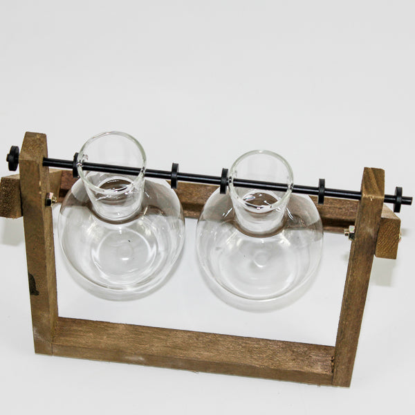 Propagating Vase Set Of 2