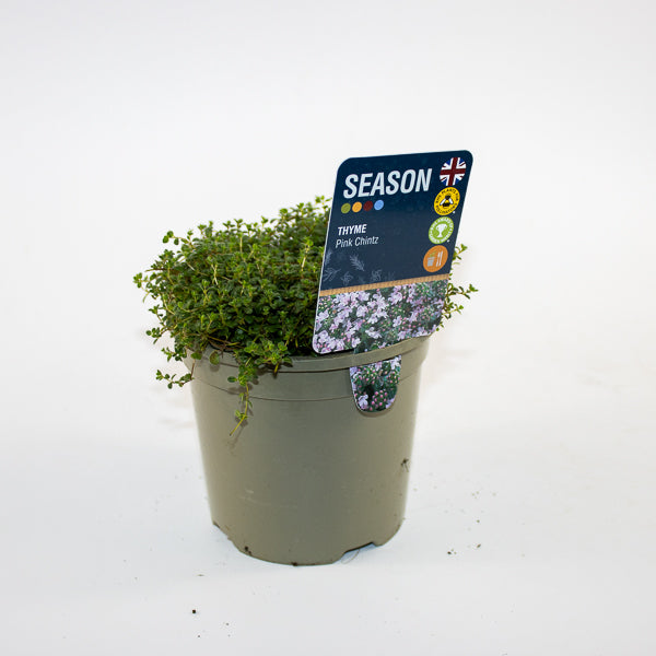 Thyme Pink Chintz Ø12cm H20cm