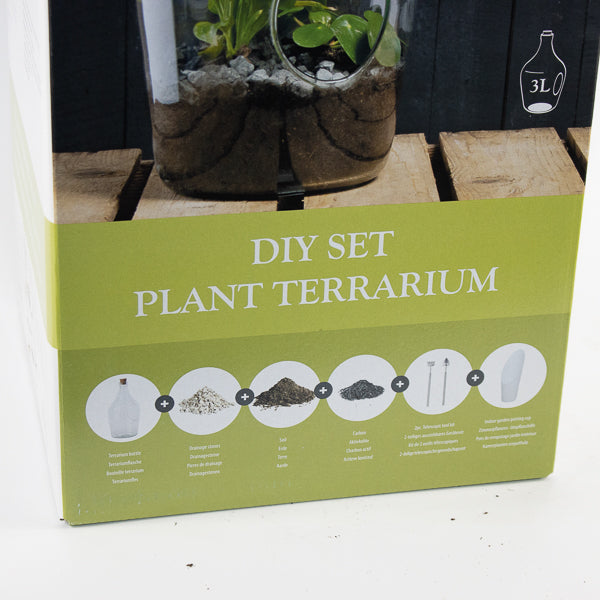 DIY Open Terrarium Bottle Set 3 Litre
