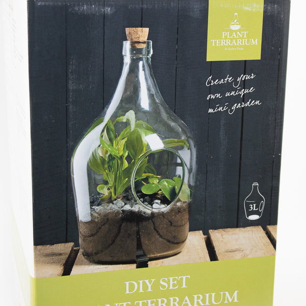 DIY Open Terrarium Bottle Set 3 Litre