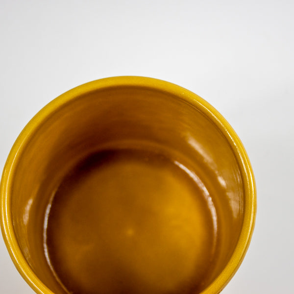 Orla Glazed Fern Mustard Planter H12cm D13.5cm