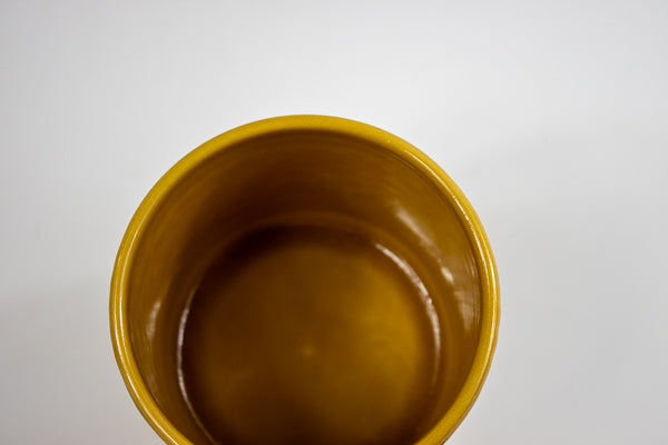 Orla Glazed Fern Mustard Planter H12cm D13.5cm