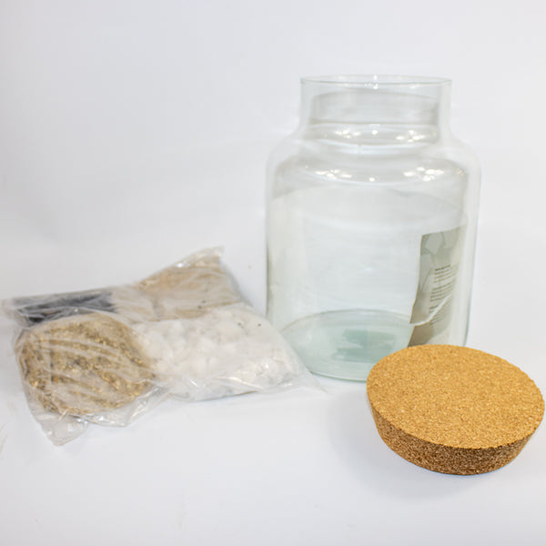 Bottle Shape Large Terrarium DIY Kit H26.5cm W19cm