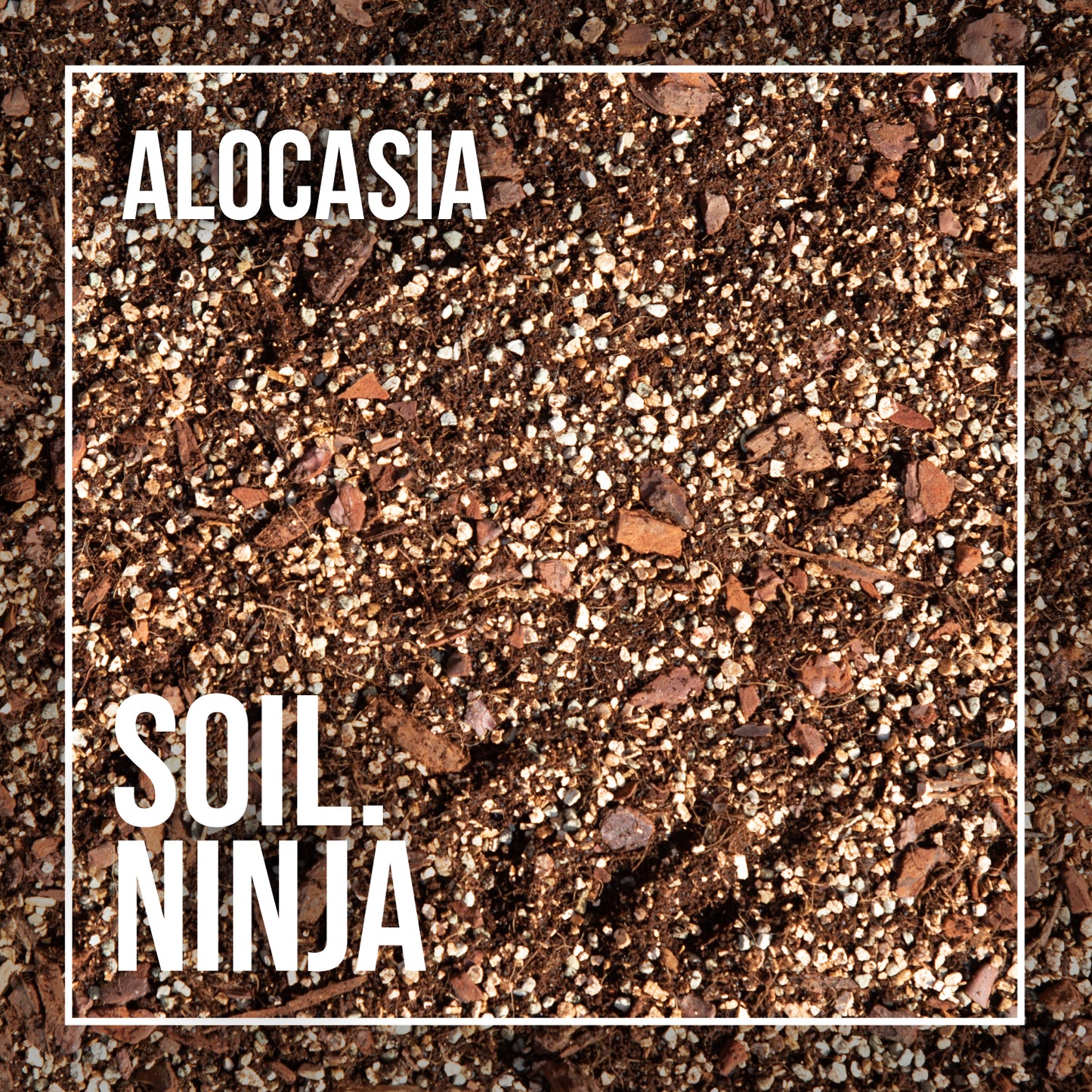 Alocasia Soil Mix