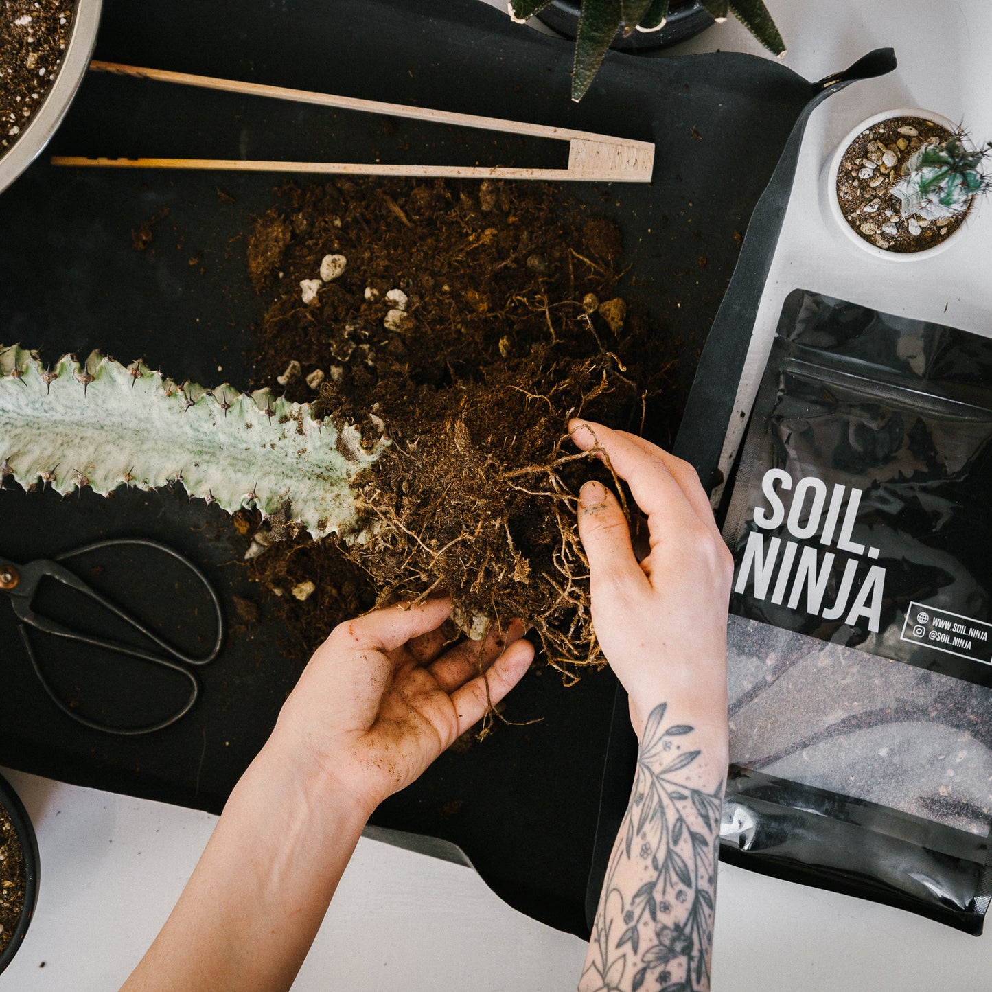 Cacti & Succulent Soil Mix