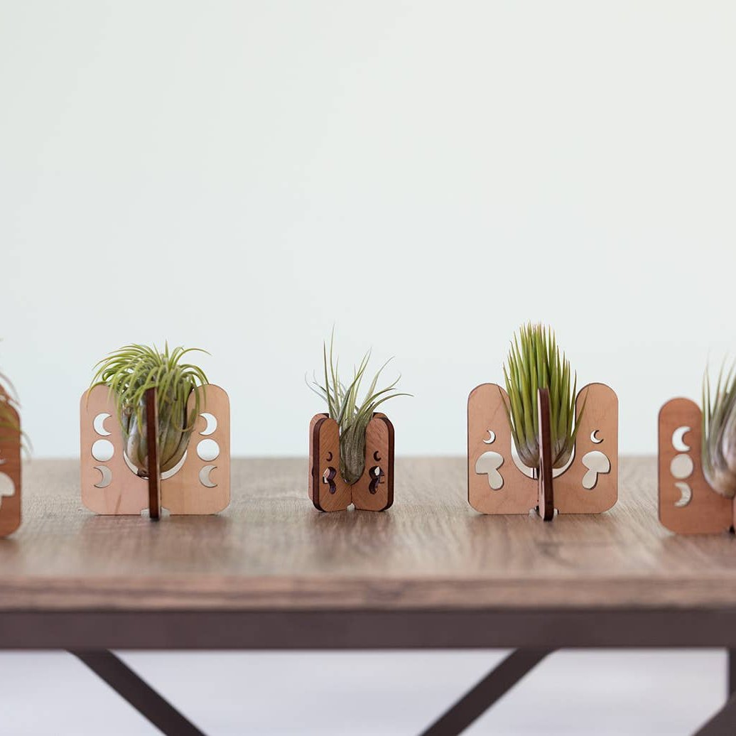 Moon Phase Air Plant Stand