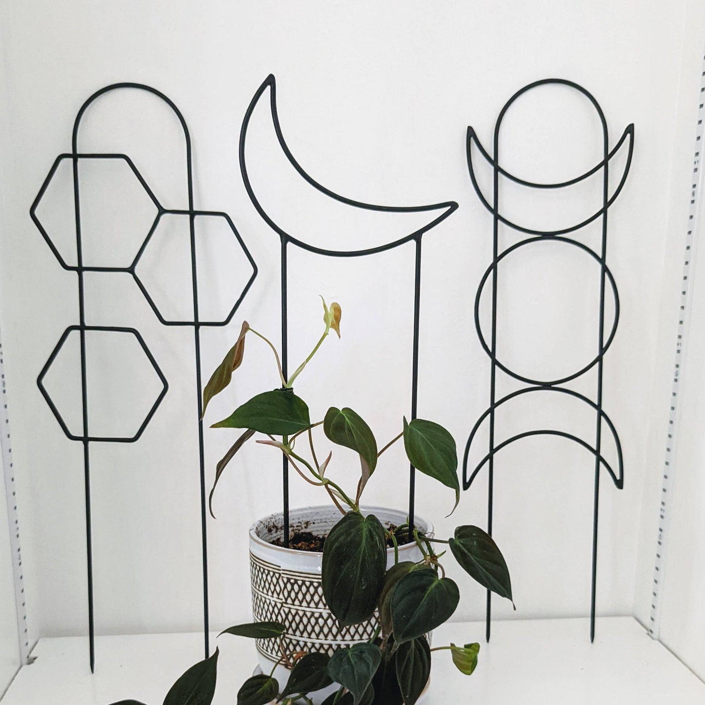 Metal Moon Phase Trellis