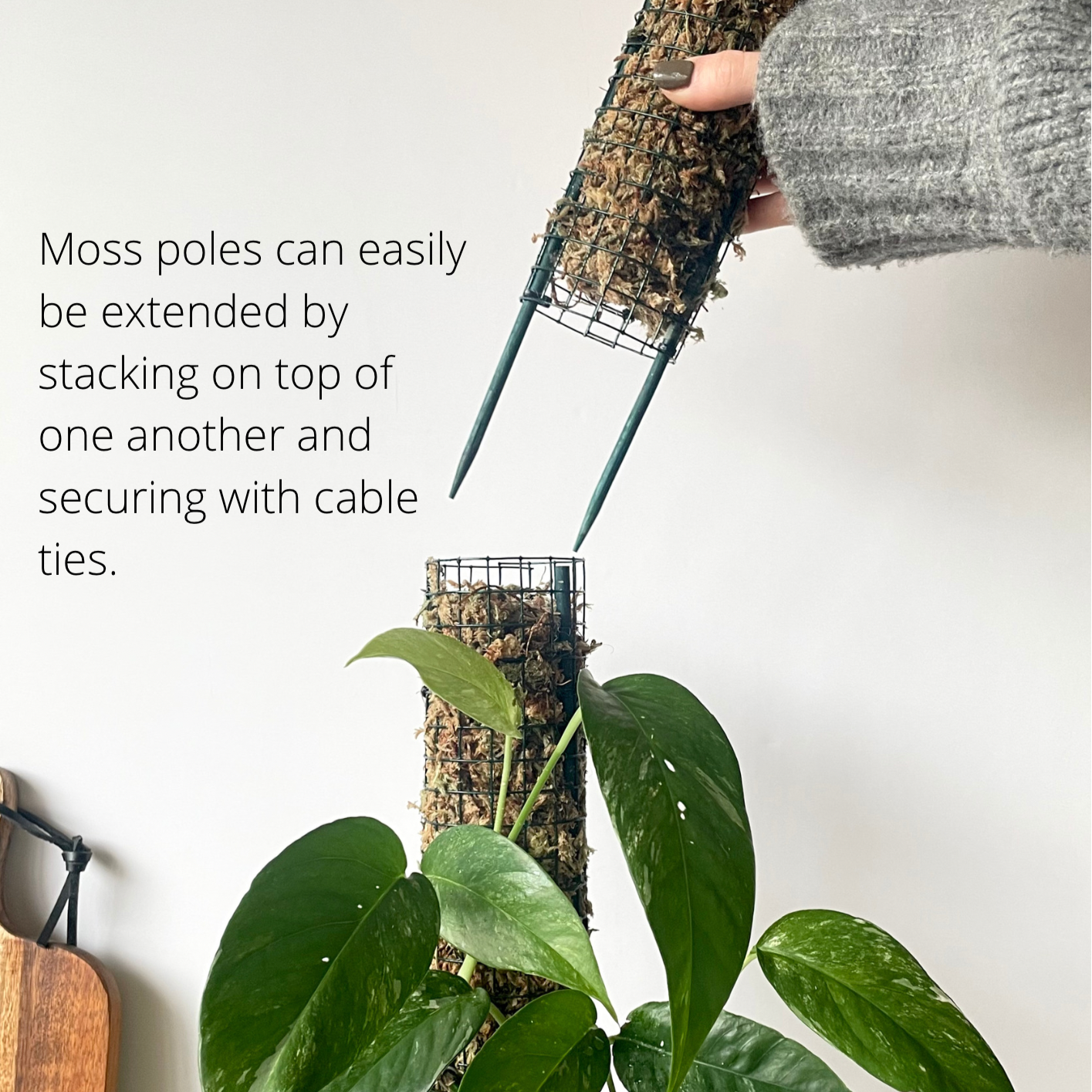 D Shaped Sphagnum Moss Pole