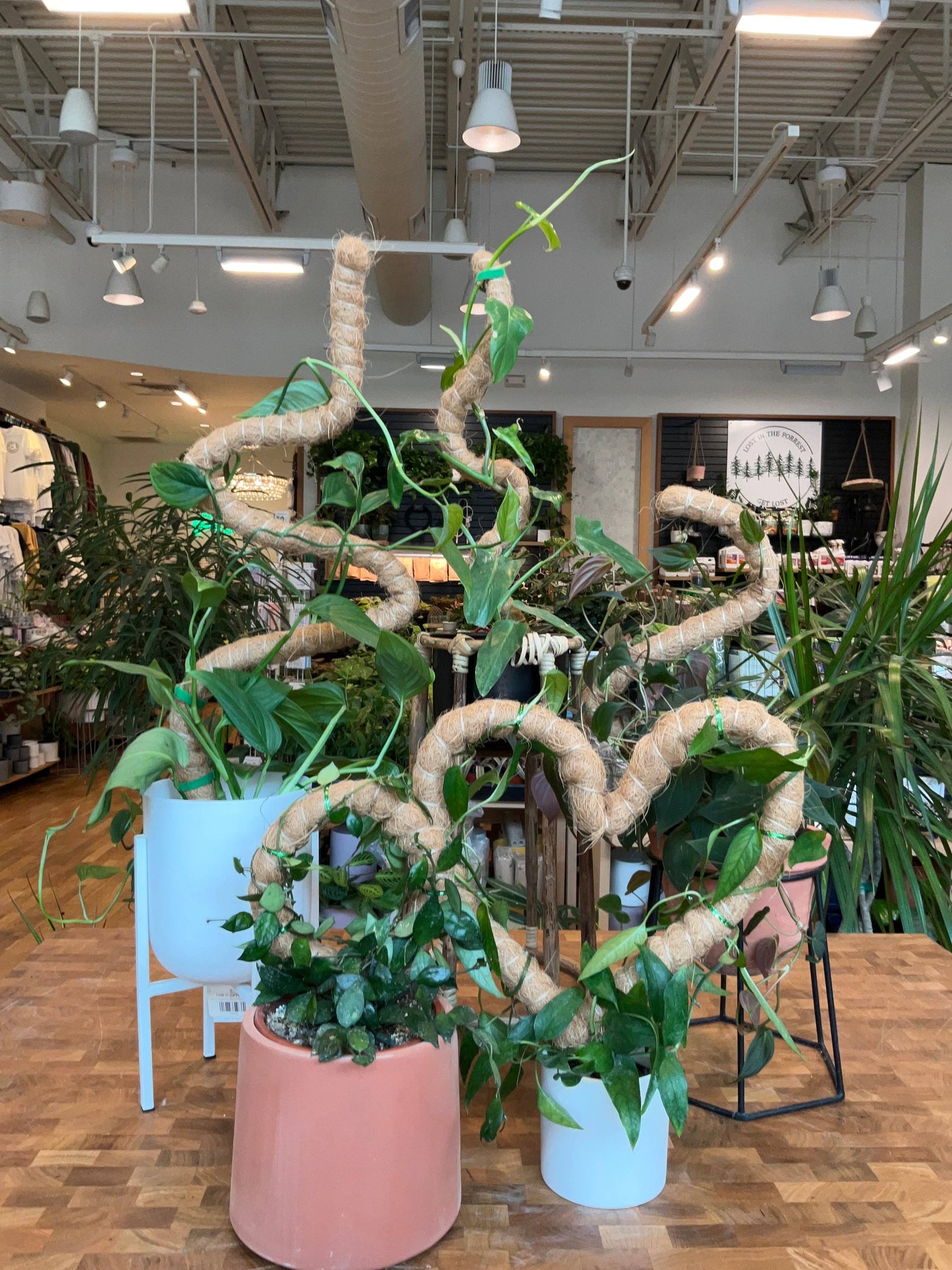 Flexible Plant Support Pole