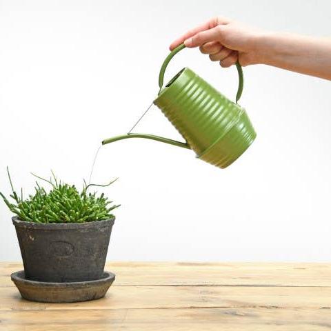 Green Indoor Watering Can