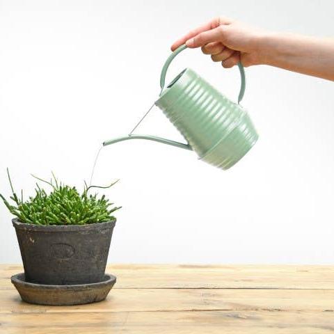 Green Indoor Watering Can