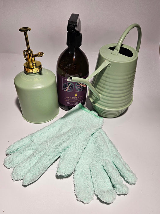 5 Top Tips on How to Care for Houseplants During the Winter