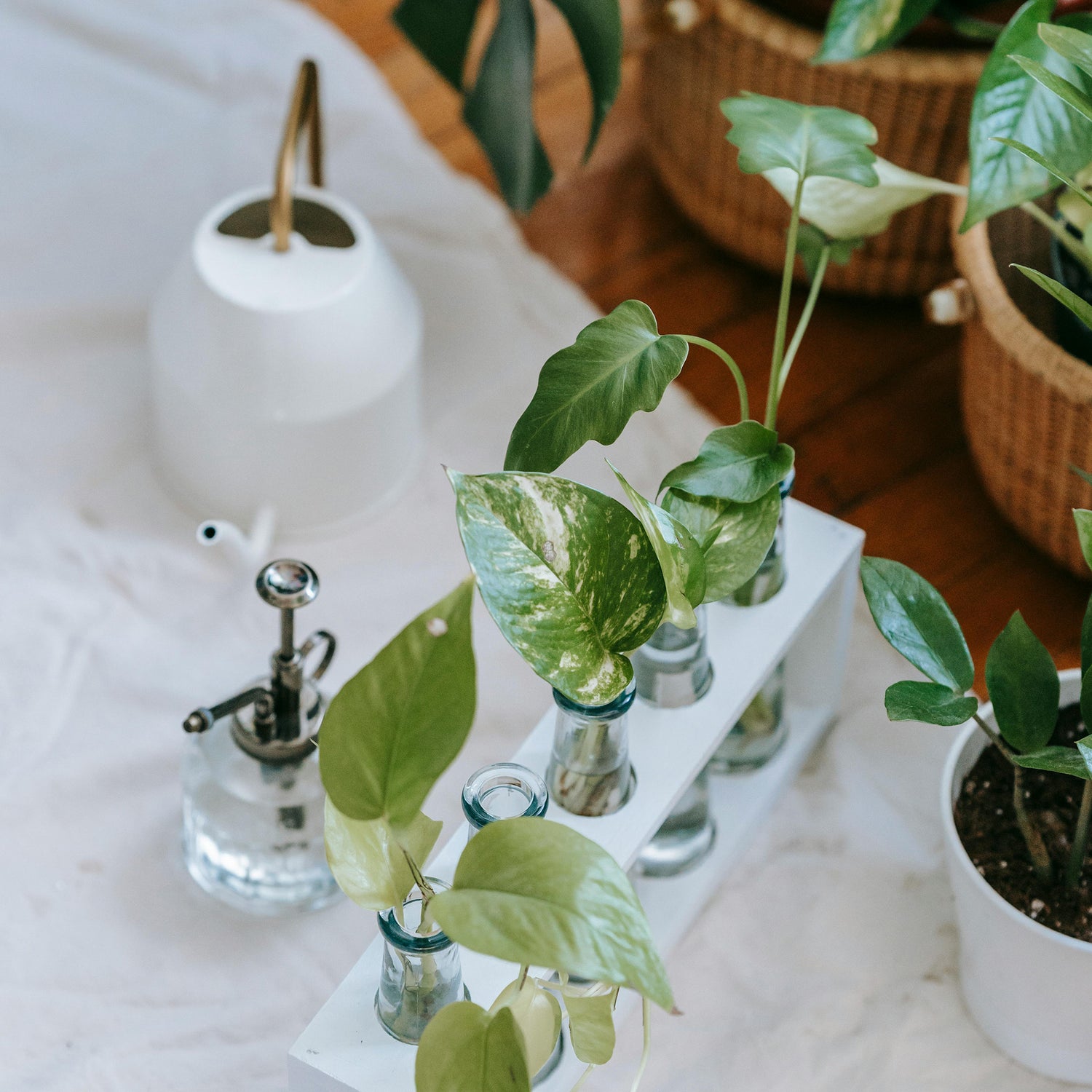 Care and Accessories