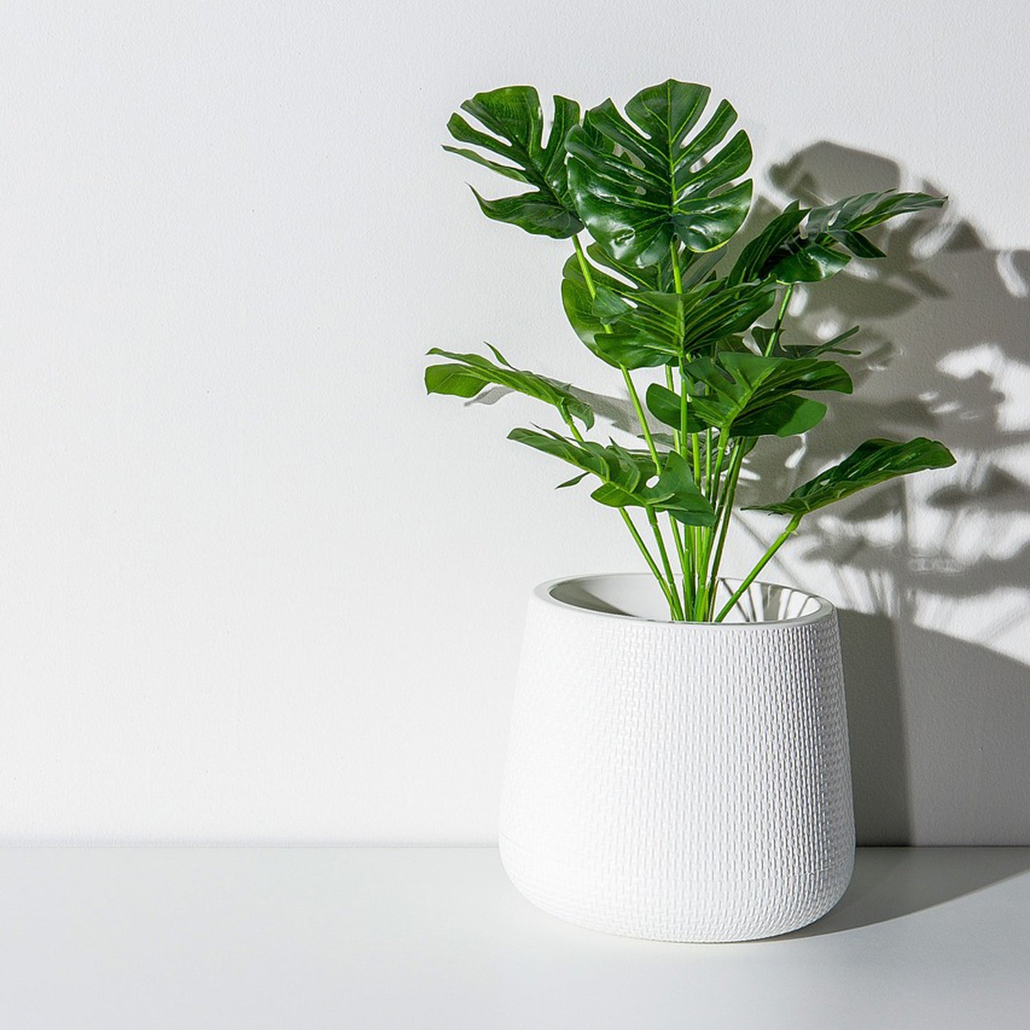 Pots & Supports