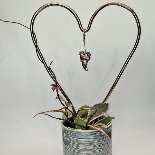 Handcrafted Heart Plant Trellis