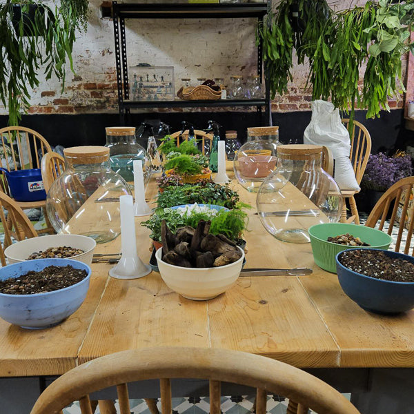 Small Terrarium Workshop