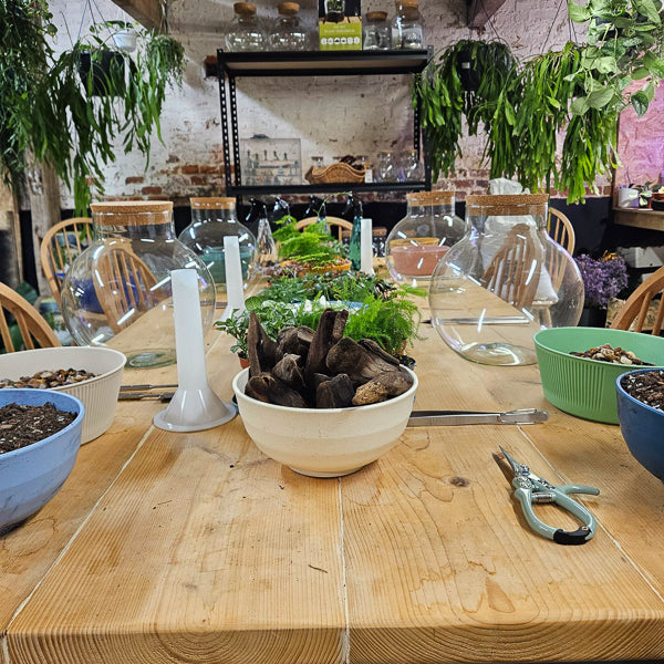 Small Terrarium Workshop