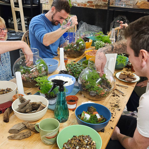 Small Terrarium Workshop