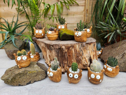 Little Monster Pot with Cacti Ø5.5cm