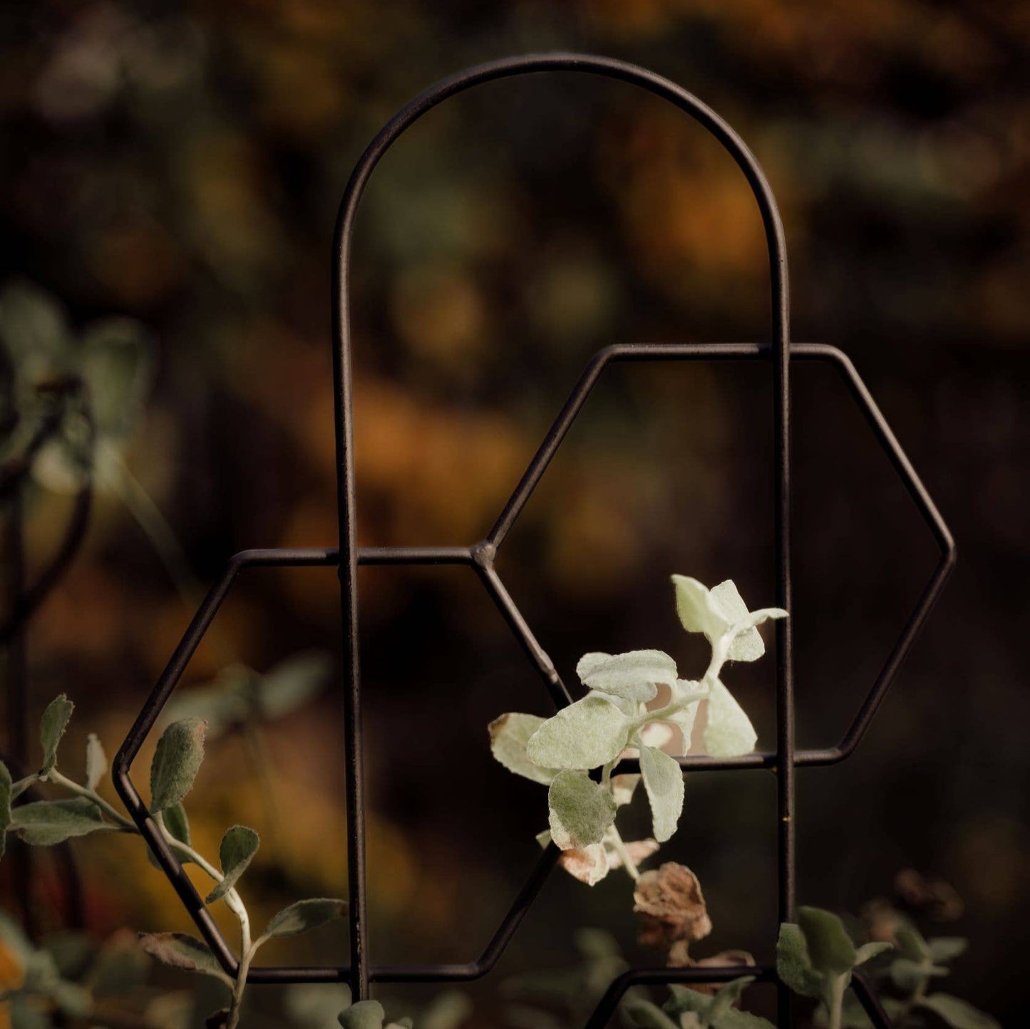 Metal Honeycomb Trellis
