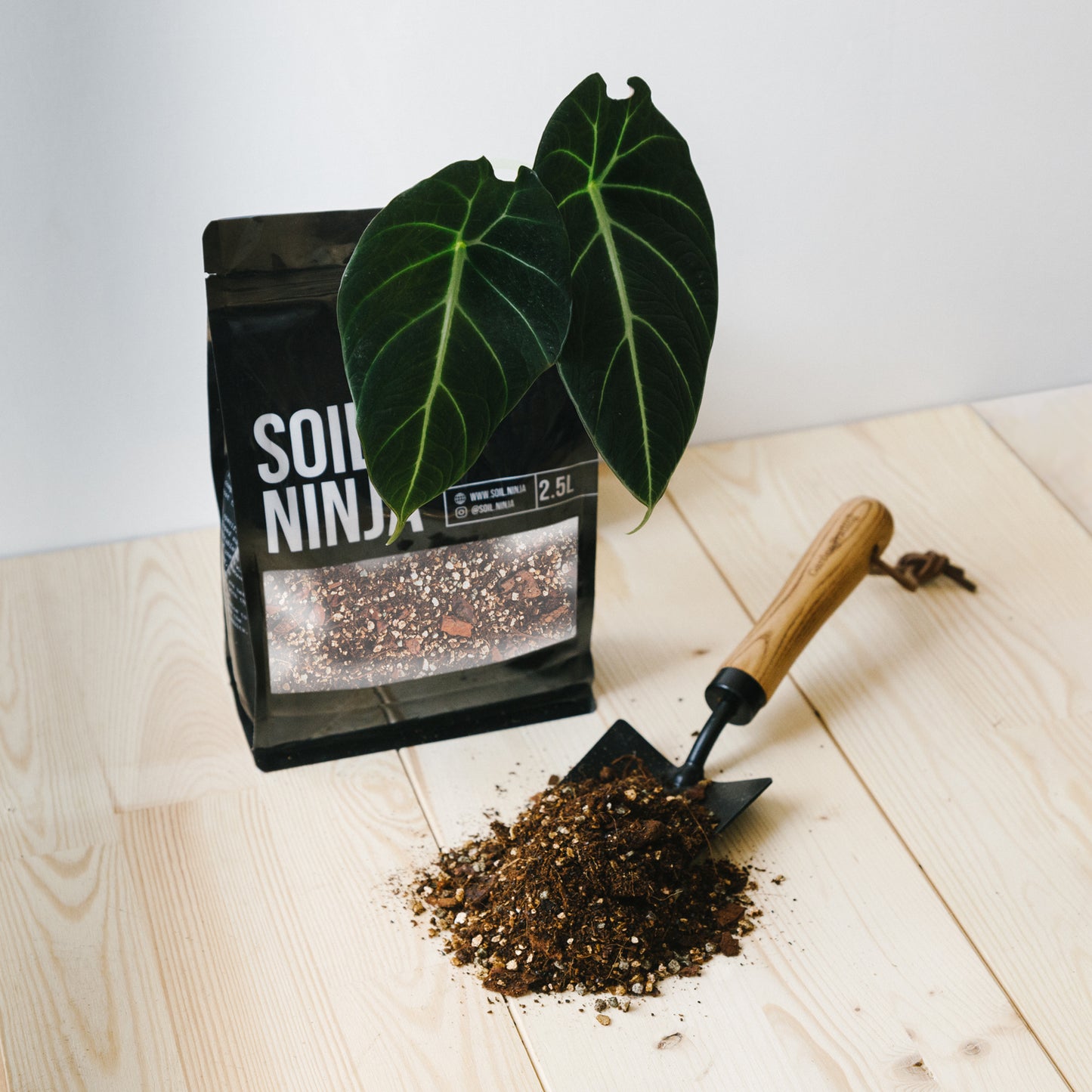 Alocasia Soil Mix