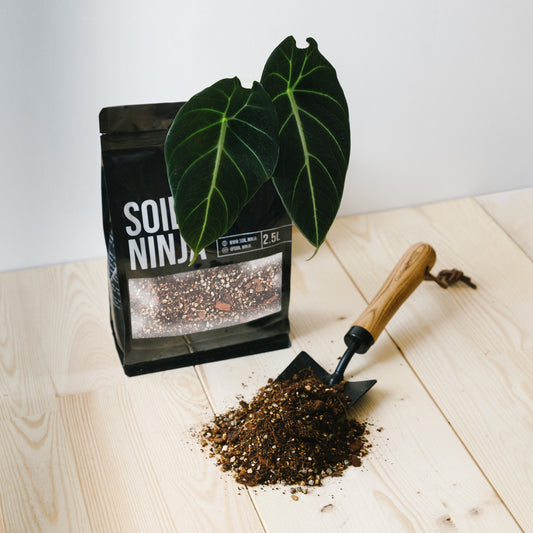 Alocasia Soil Mix