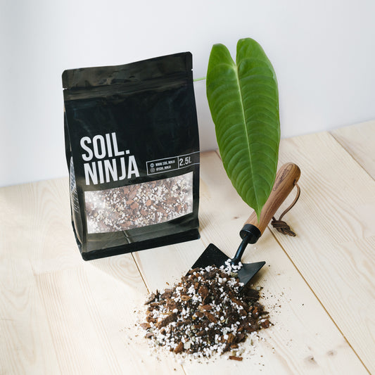 Anthurium & Orchid Soil Mix