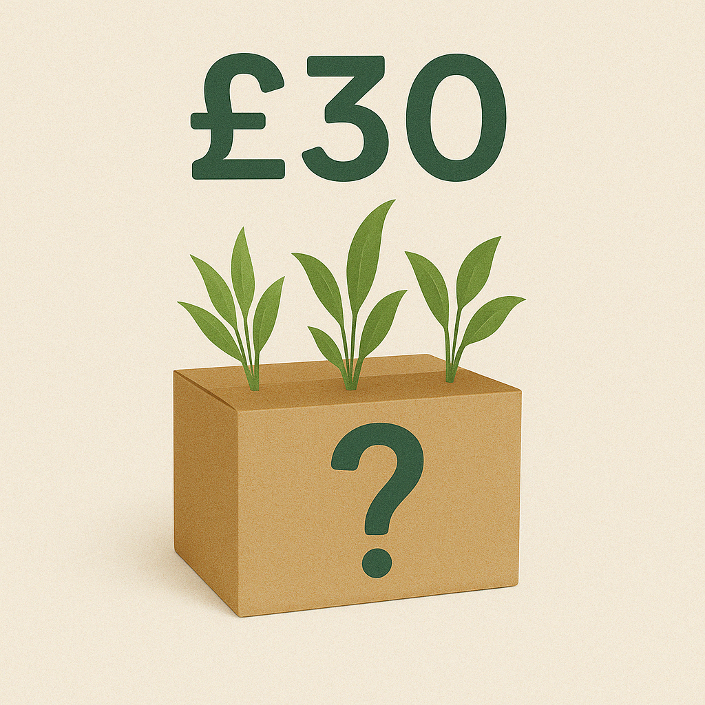 Mystery Plant Box