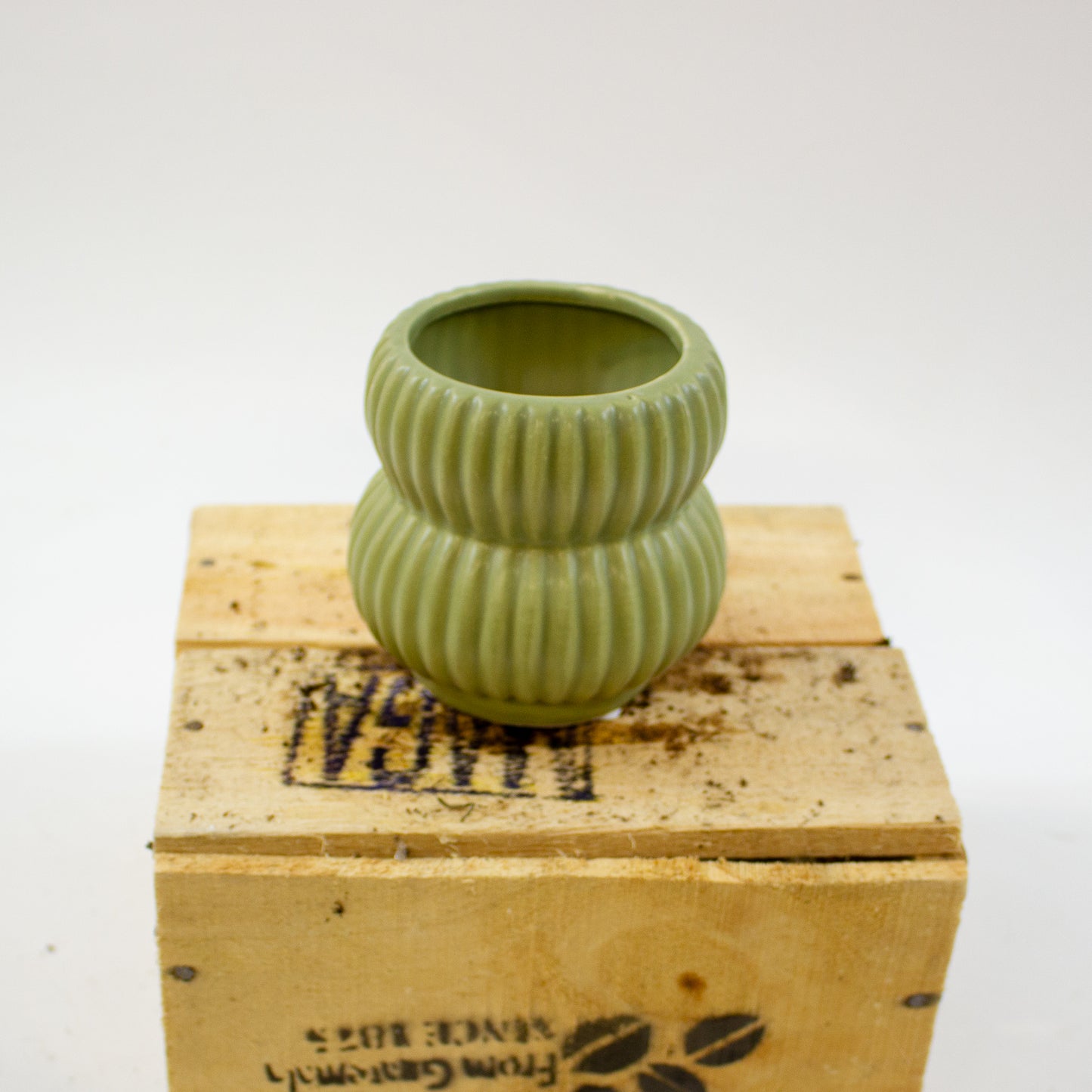 Pure Paradise pot Ø8cm H9cm