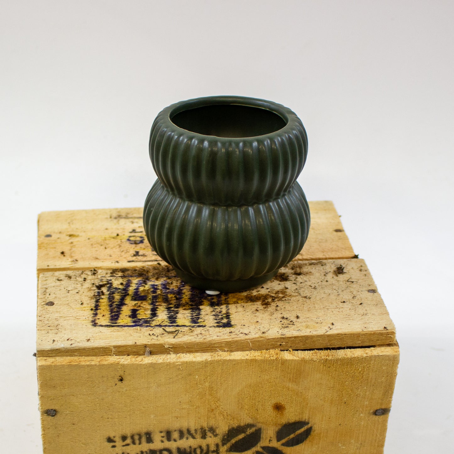 Pure Paradise pot Ø8cm H9cm